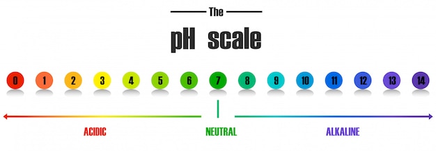 Vettore gratuito modello di scala del ph scientifico