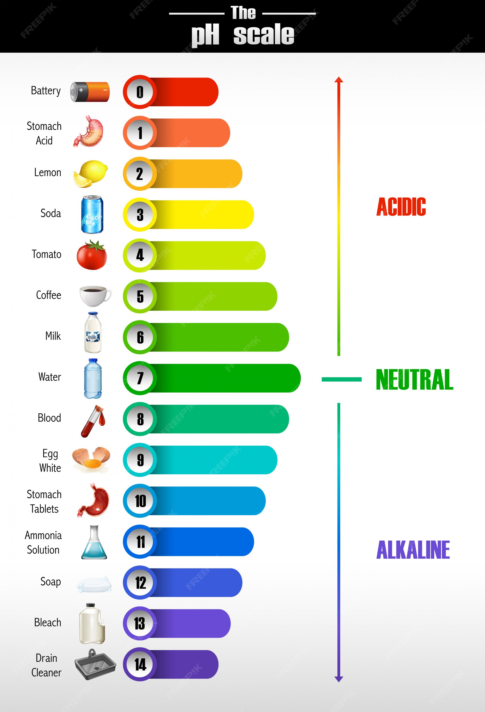 Free Vector | A science of ph scale