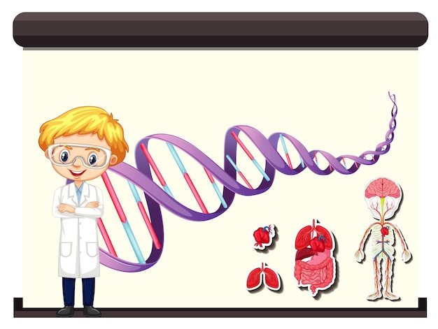 Vettore gratuito scienziato e diagramma del dna umano a bordo