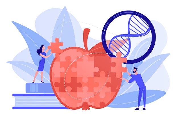 Scientists doing apple jigsaw puzzle. genetically modified organism and engineered organism, molecular engineering concept on white background. pinkish coral bluevector isolated illustration