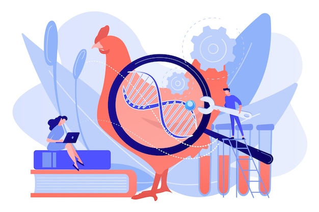 Free vector scientists working with huge dna of a chicken. genetically modified animals, genetically modified animal experiments concept on white background. pinkish coral bluevector isolated illustration