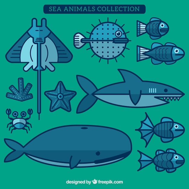 Sea animals collection in flat design