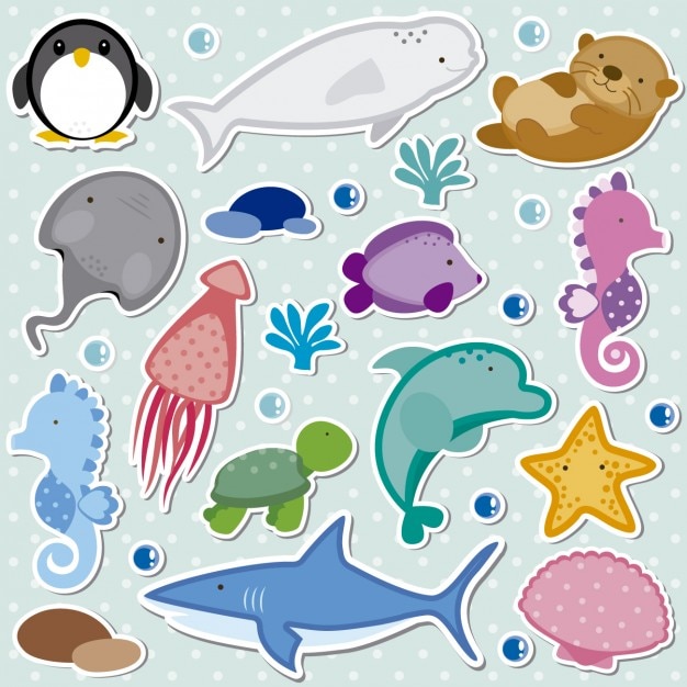 Sea animals collection