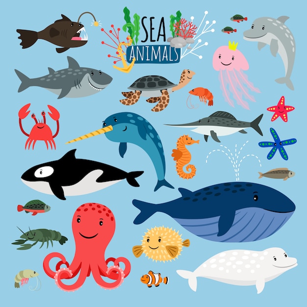 Sea Animals Chart With Names