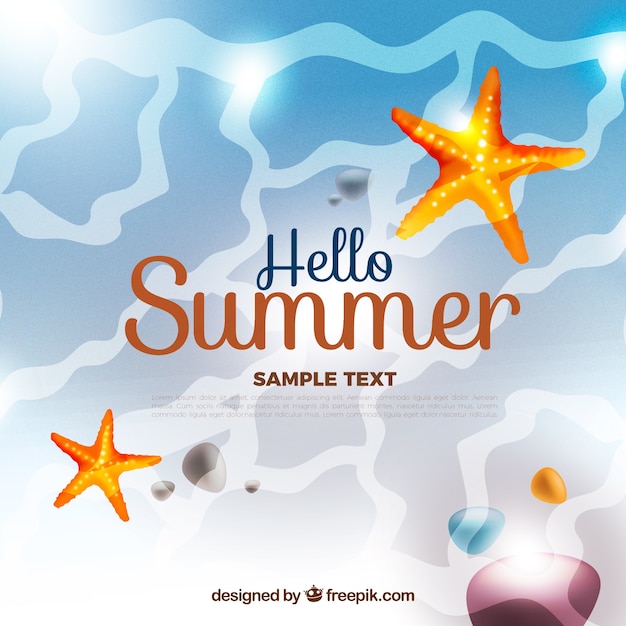 Free vector sea background with starfish and stones