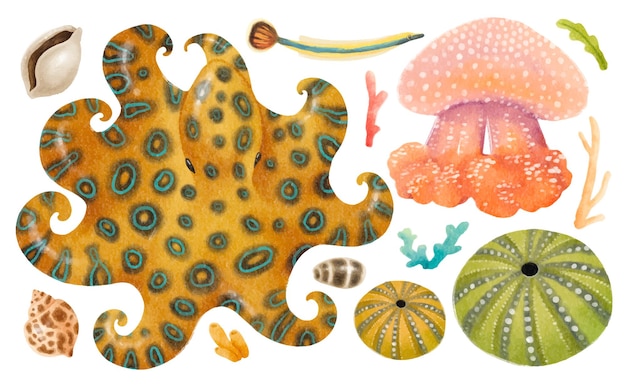 Free vector sea creatures watercolour hand painted illustrations