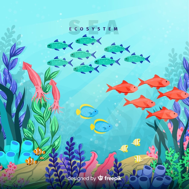 Sea ecosystem background