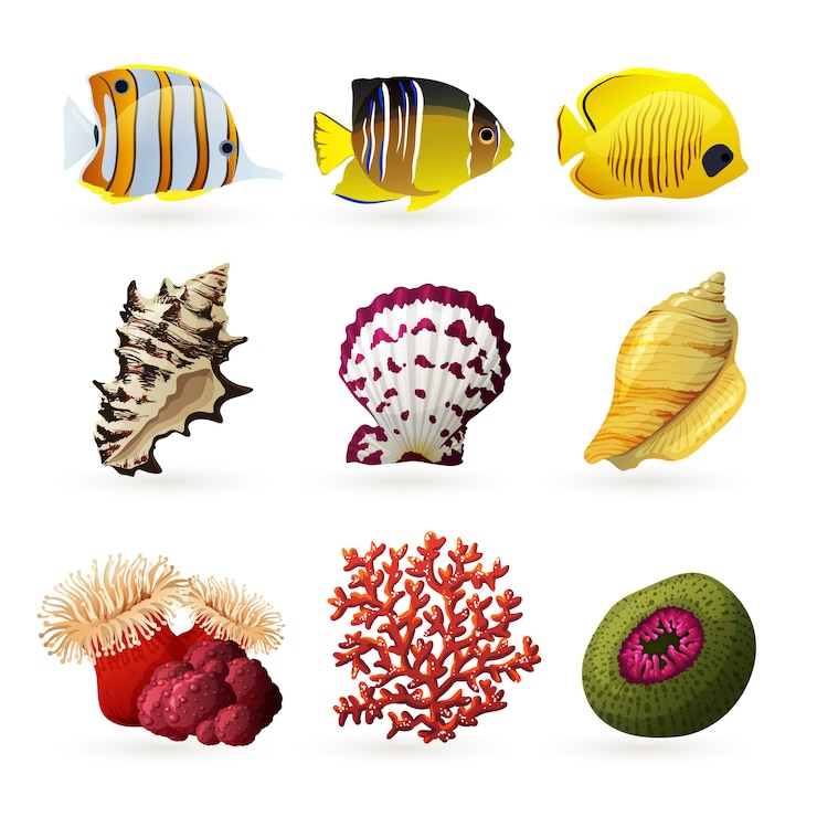 Free Vector sea fauna icons