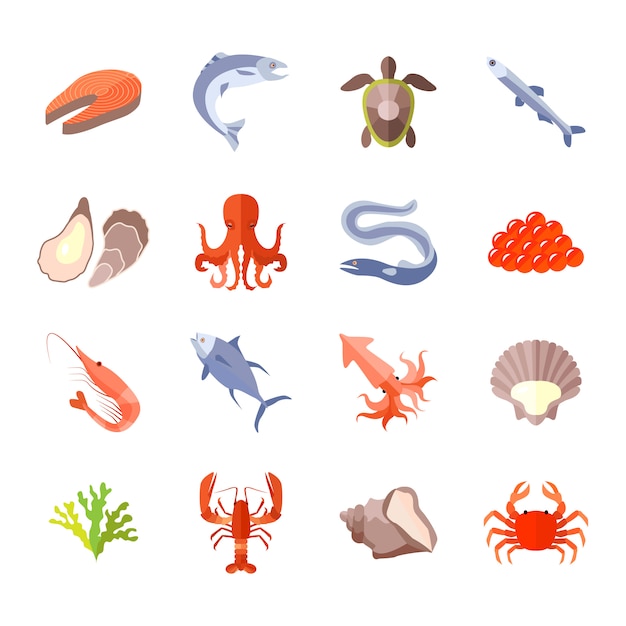 Sea food icon flat set 