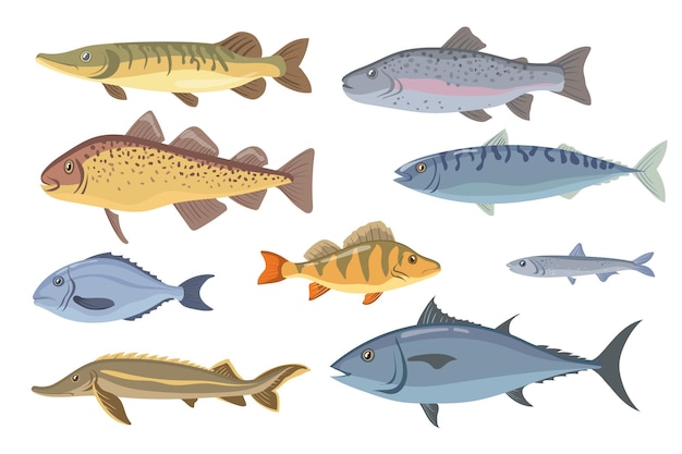 Free vector sea and freshwater fish set.