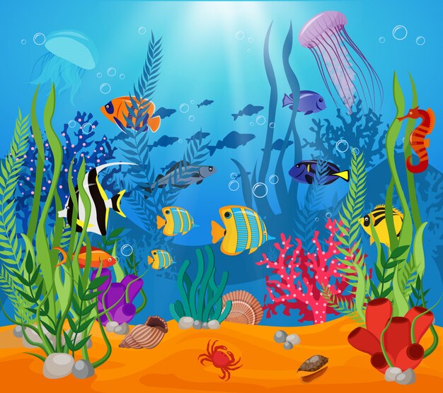 海の生物動物植物組成着色された漫画の海洋生物とさまざまな種類の藻