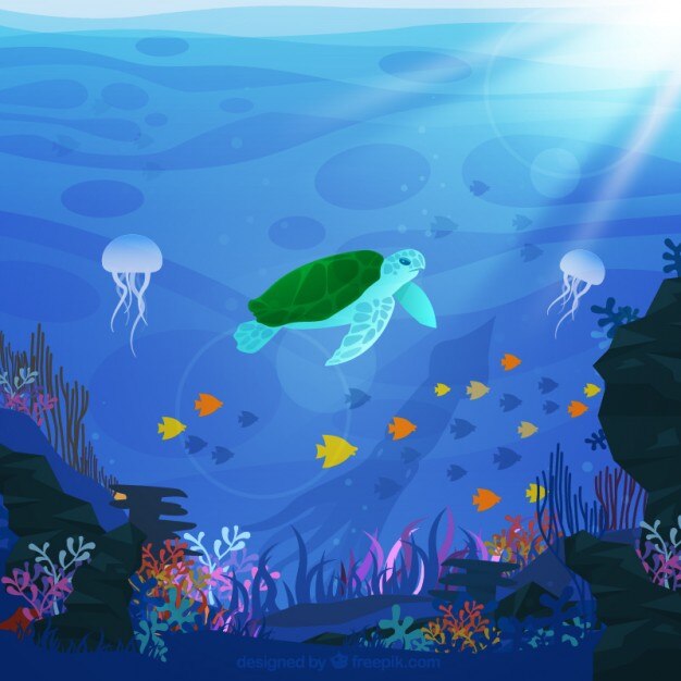 Sea life background