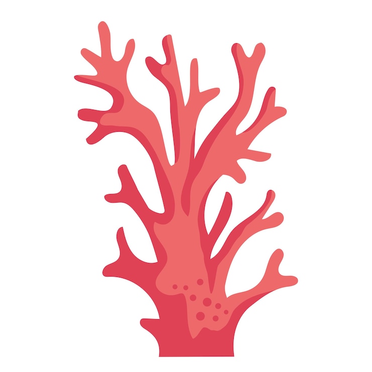 Free Vector sea life coral