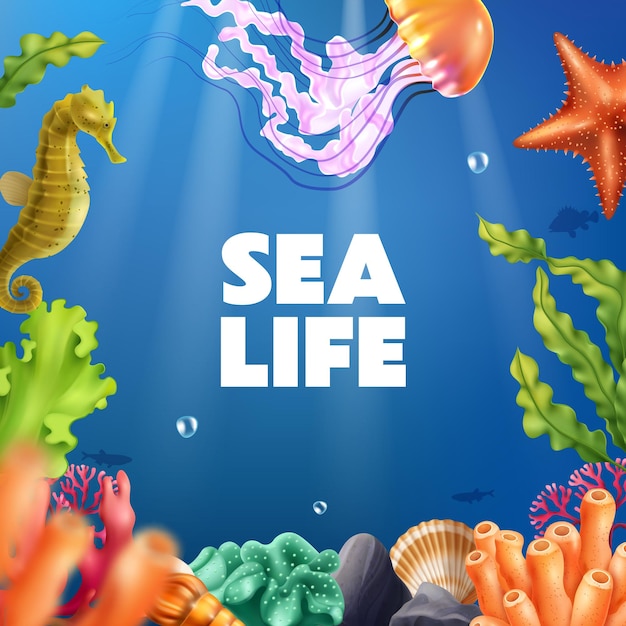 Free vector sea life realistic background with reef seaweed coral jellyfish seashell starfish cartoon vector illustration