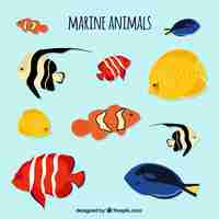 Free vector sea life set