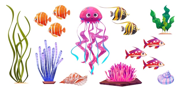 Sea underwater cute coral and jellyfish cartoon vector illustration set isolated on white background Ocean water bottom life fish and seaweed icon Aquatic world creature and shell reef nature