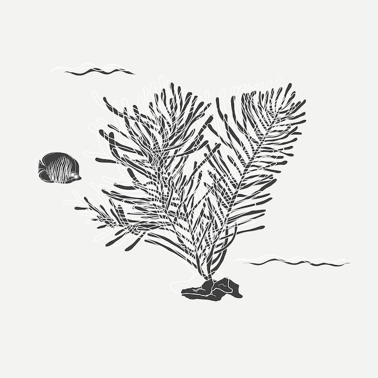Free Vector under the sea 
