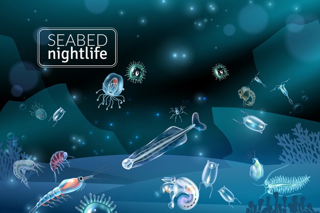 Подводные сцены ночной жизни морского дна с изображением мультяшных кораллов и планктона