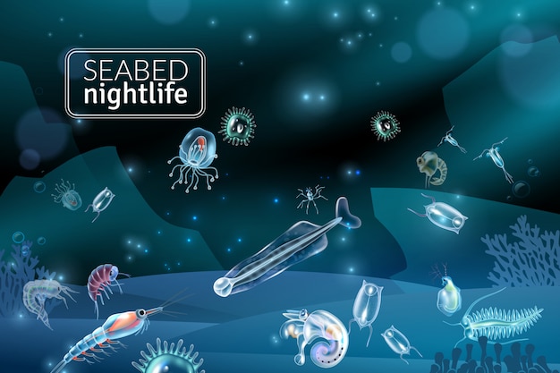 Seabed nightlife underwater scene with reef seaweed coral and plankton characters cartoon  illustration