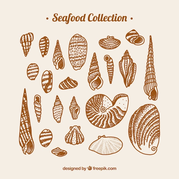 Seafood collection