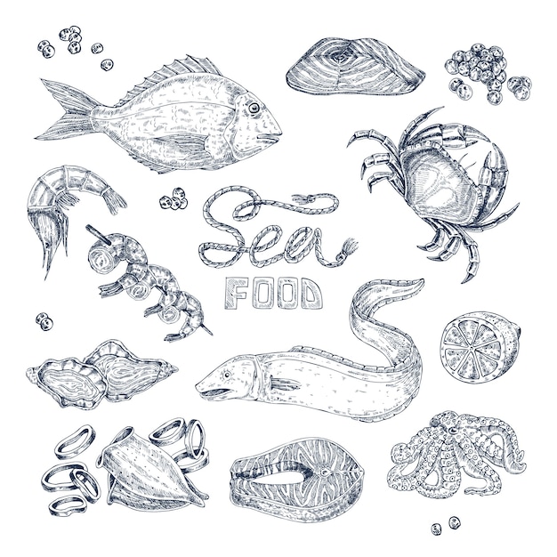 Seafood monochrome sketches set