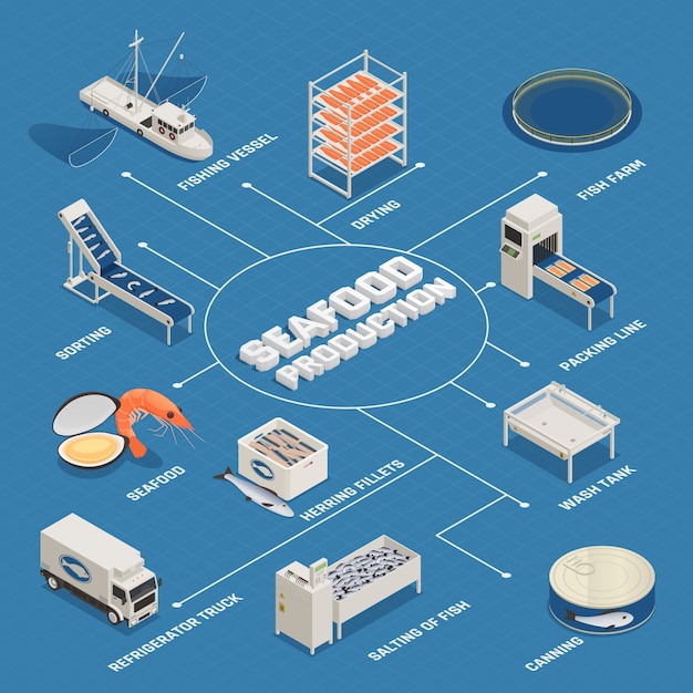 Vettore gratuito diagramma di flusso del processo di produzione di frutti di mare