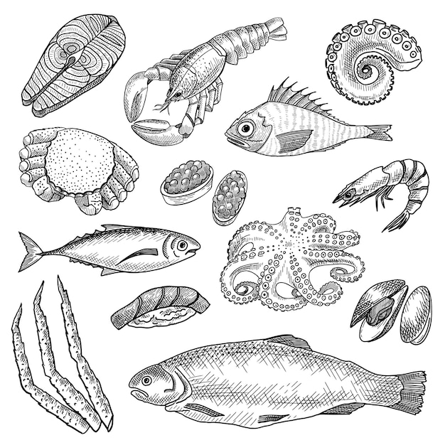 Бесплатное векторное изображение Набор эскизов морепродуктов