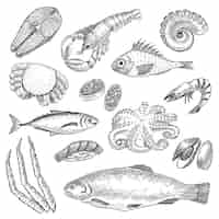 Free vector seafood sketches set