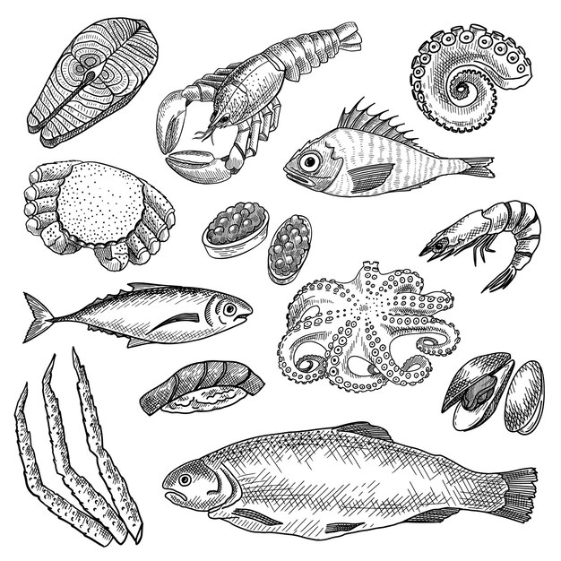 Seafood sketches set