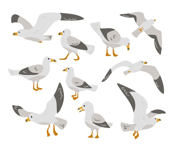 Набор плоских векторных иллюстраций персонажей мультфильма "Чайка". Симпатичные комические чайки, атлантические птицы с белыми перьями и желтыми ногами для морского, пляжного или портового ландшафта. Природа, животные, концепция дикой природы