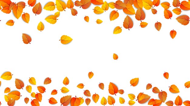 Seamless autumn leaves horizontal banner isolated white background template with golden leaf Vector