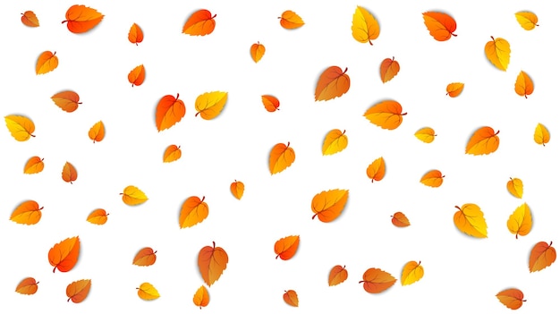 シームレスな秋は、白い背景で隔離の水平塗りつぶしバナーを残します。黄金の秋秋オレンジの葉のパターンの広告テンプレート。販売背景のデザインテンプレート。ベクトルイラスト