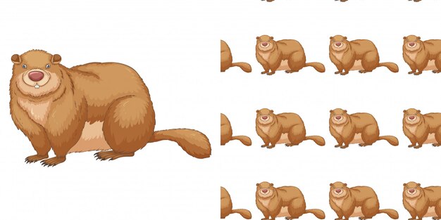 Seamless background design with fat beaver