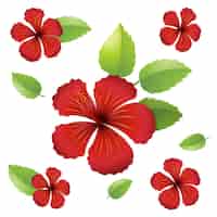 Free vector seamless background design with hibiscus flowers