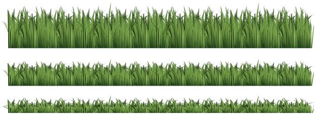 Seamless background for green grass