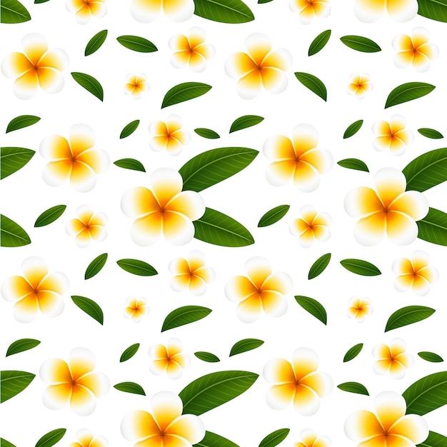 Free vector seamless background with white plumeria flowers