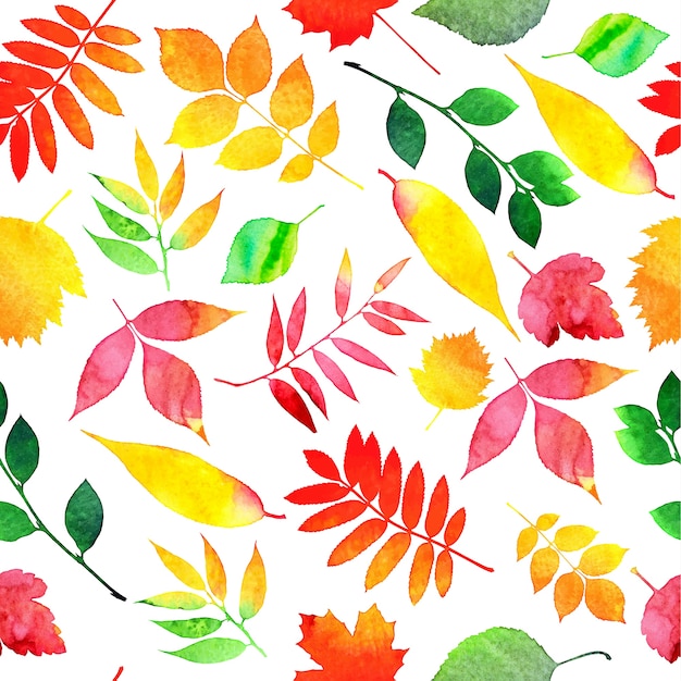 Seamless pattern of autumn leaves