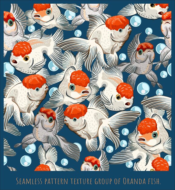 Oranda Images Free Vectors Stock Photos Psd