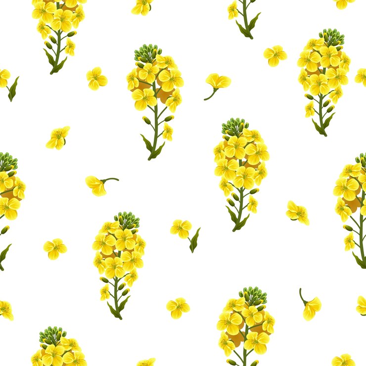 Free Vector seamless pattern rape flowers and leaves, canola.