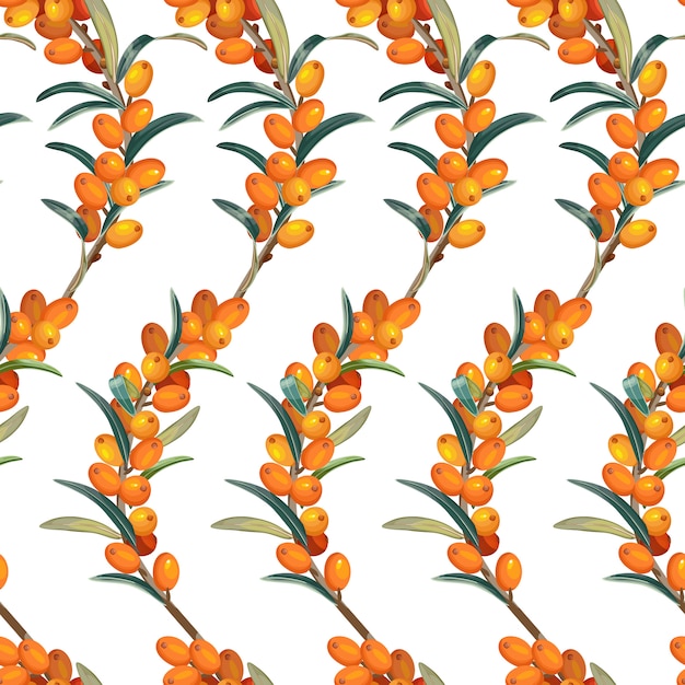 Free vector seamless pattern of sea buckthorn.