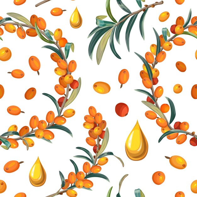 Seamless pattern of sea buckthorn.