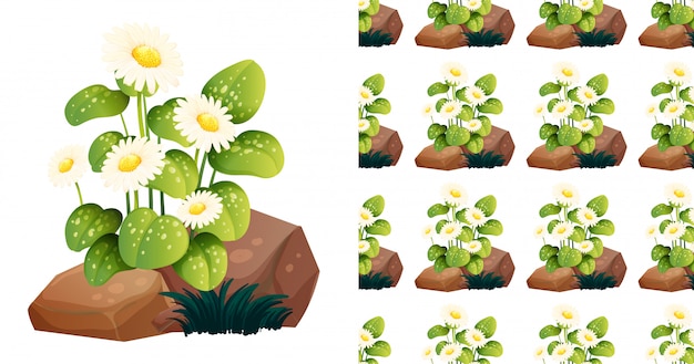 Free vector seamless pattern with white flowers on rocks