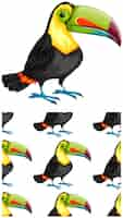 Free vector seamless toucan pattern isolated on white