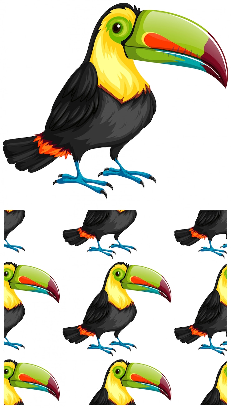 Free Vector seamless toucan pattern isolated on white