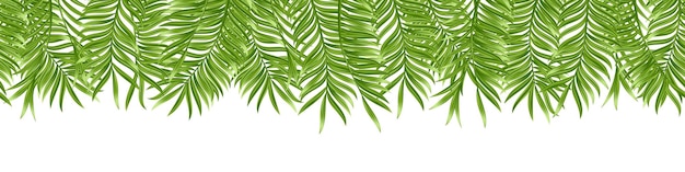 白い背景で隔離のシームレスな熱帯ヤシの葉現実的な緑の夏の植物ベクトル