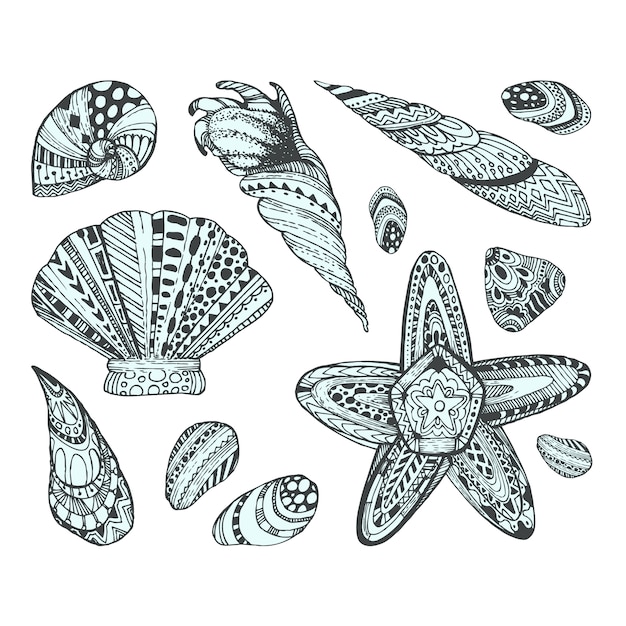 Бесплатное векторное изображение Дизайнерская коллекция seashell