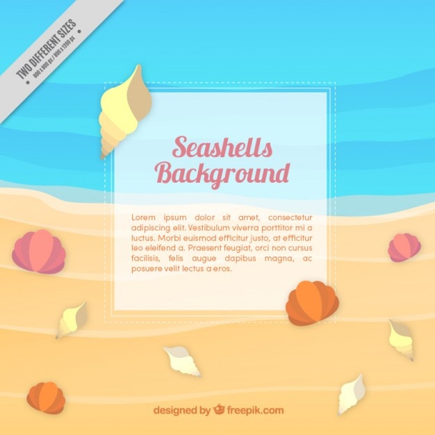Free vector seashells on the beach background