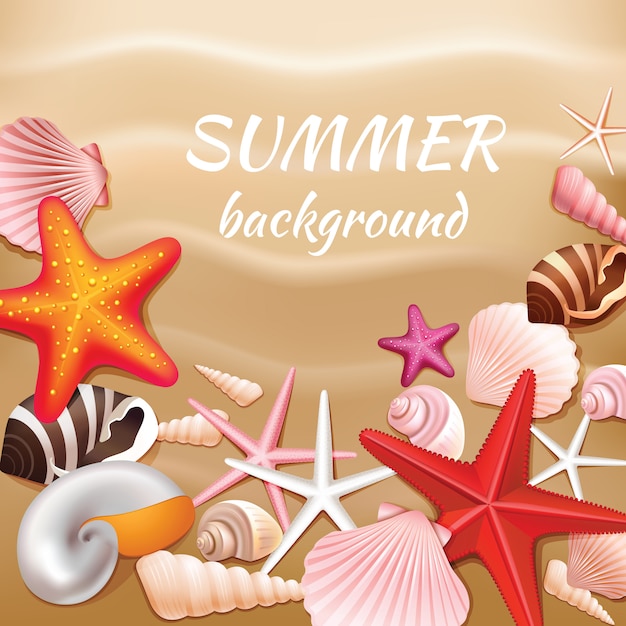 Seashells e stelle sull'illustrazione beige di vettore del fondo di estate della sabbia