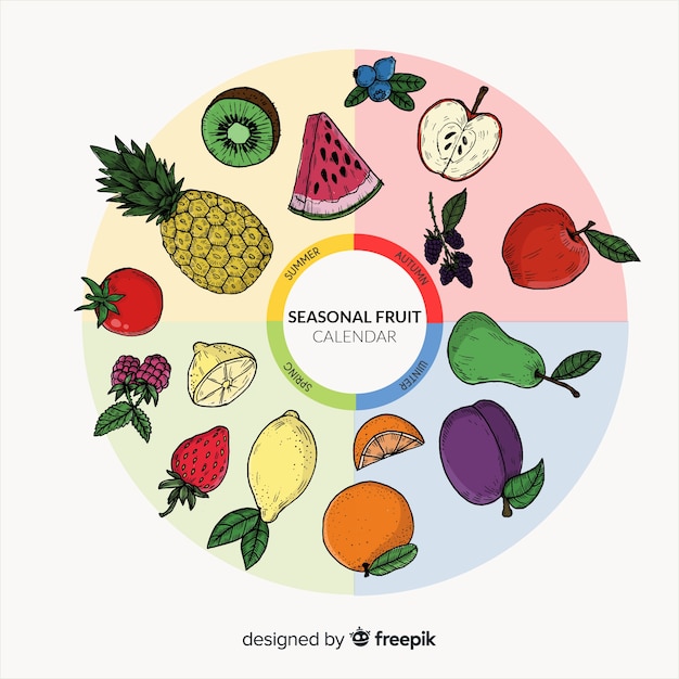 Free vector seasonal fruits and vegetables calendar