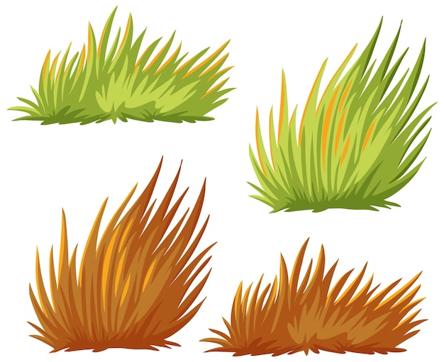 Seasonal grass tufts vector set